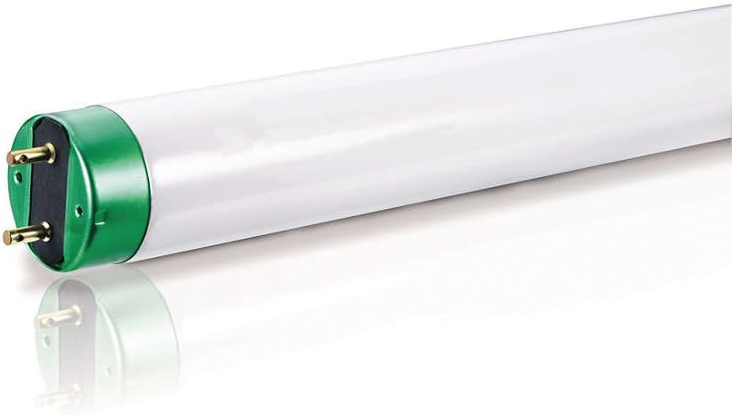 48-Inch T8 Fluorescent Light Bulbs – 32W High-Output Daylight (10-Pack)